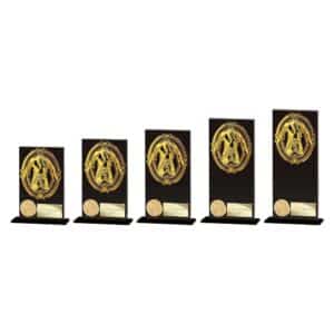 Maverick Fusion Martial Arts Black Glass Trophy HQ