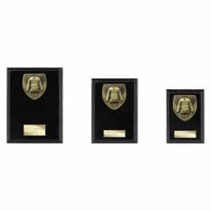 Cobra Plaque Martial Arts Gi Black Trophy HQ
