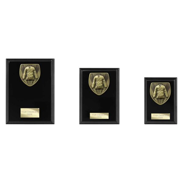 Cobra Plaque Martial Arts Gi Black Trophy HQ