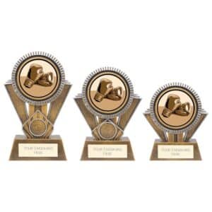 Apex Boxing Trophy Trophy HQ