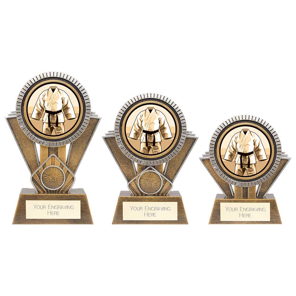 Apex Martial Arts Trophy Trophy HQ Apex Martial Arts Trophy Trophy HQ