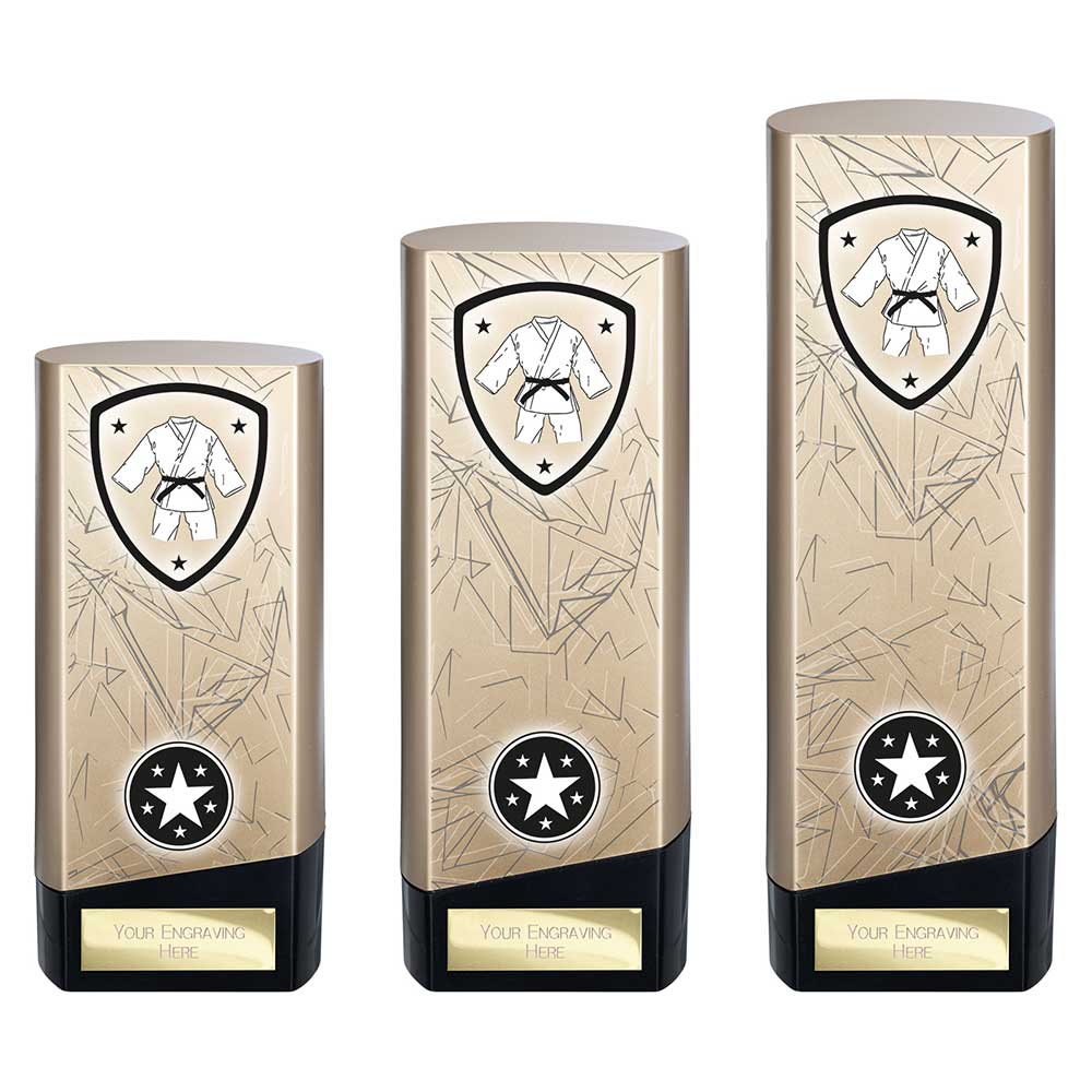 Prime Martial Arts Trophy Black and Gold Trophy HQ Prime Martial Arts Trophy Black and Gold Trophy HQ