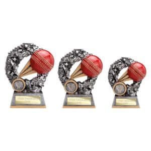 Blast Out Cricket Trophy Blast Out Cricket Trophy Trophy HQ 2