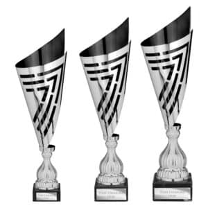 Arrow Laser Trophy Cup Silver and Black Trophy HQ