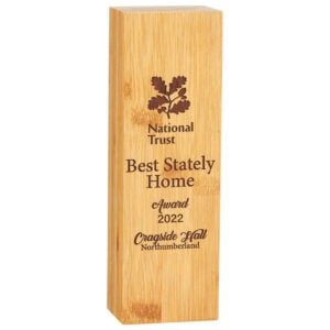 Bamboo Gaia Pillar Block Trophy HQ