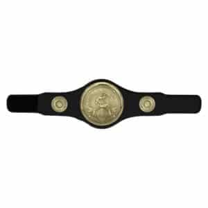 Champion Belt Judo/Jujitsu Trophy Trophy HQ