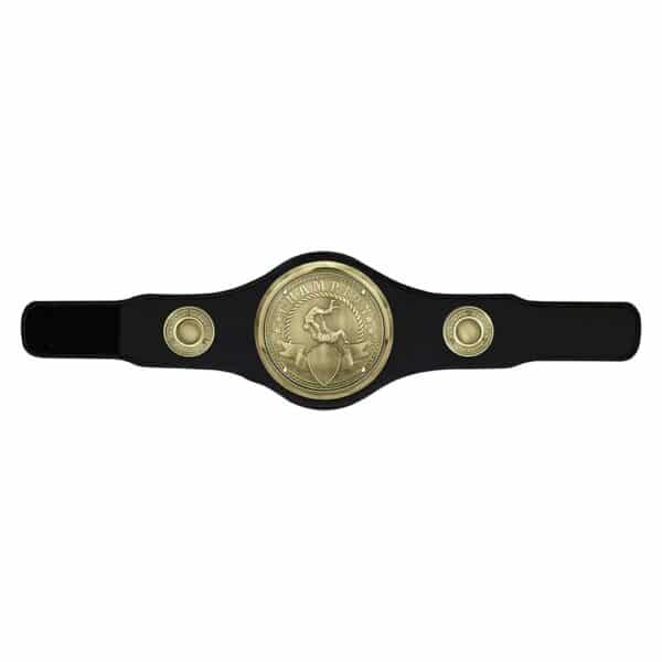 Champion Belt Judo/Jujitsu Trophy Trophy HQ