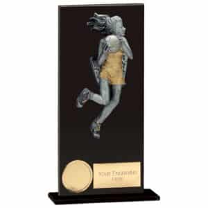 Euphoria Hero Netball Glass Award Trophy HQ