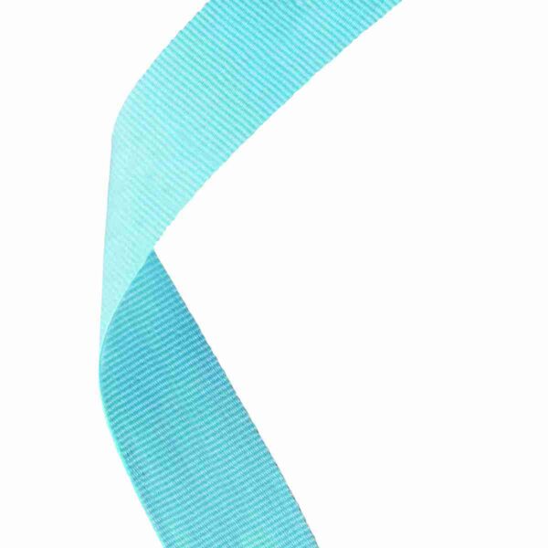 Light Blue Medal Ribbon Trophy HQ