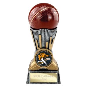 Digital Cricket Trophy Digital Cricket Trophy Trophy HQ 1