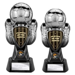 Tournament Player of Month Trophy Black and Gunmetal Tournament Player of Month Trophy Black and Gunmetal Trophy HQ 2