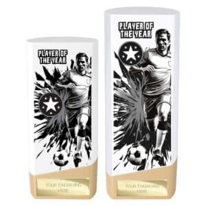 Prime Player of the year Trophy White and Gold Prime Player of the year Trophy White and Gold Trophy HQ 2