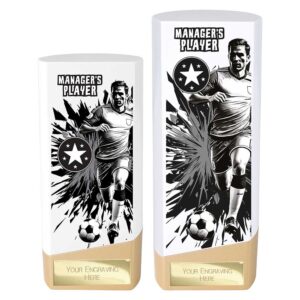 Prime Managers Player Trophy White and Gold Prime Managers Player Trophy White and Gold Trophy HQ 2