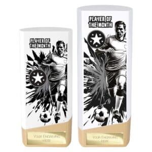 Prime Player of the Month Trophy White and Gold Prime Player of the Month Trophy White and Gold Trophy HQ 2