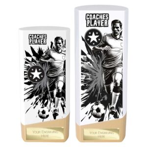 Prime Coaches Player Trophy White and Gold Prime Coaches Player Trophy White and Gold Trophy HQ 2