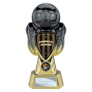 Tournament Parents Player Trophy Black and Gold Tournament Parents Player Trophy Black and Gold