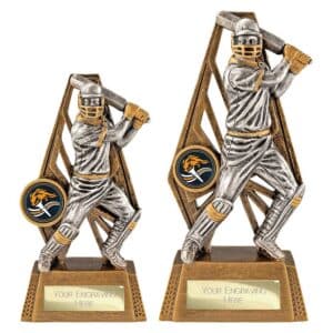 Immense Cricket Batsman Trophy Immense Cricket Batsman Trophy Trophy HQ 2