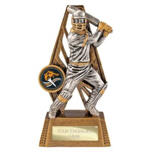 Immense Cricket Batsman Trophy Immense Cricket Batsman Trophy Trophy HQ 1