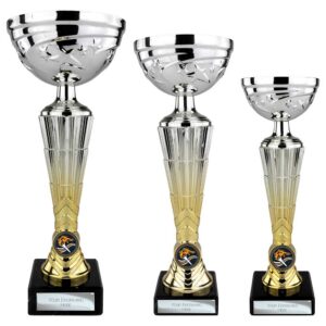 Hyper Trophy Cup Silver and Gold Hyper Trophy Cup Silver and Gold Trophy HQ 2