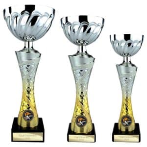 Vigour Trophy Cup Silver and Gold Vigour Trophy Cup Silver and Gold Trophy HQ 2