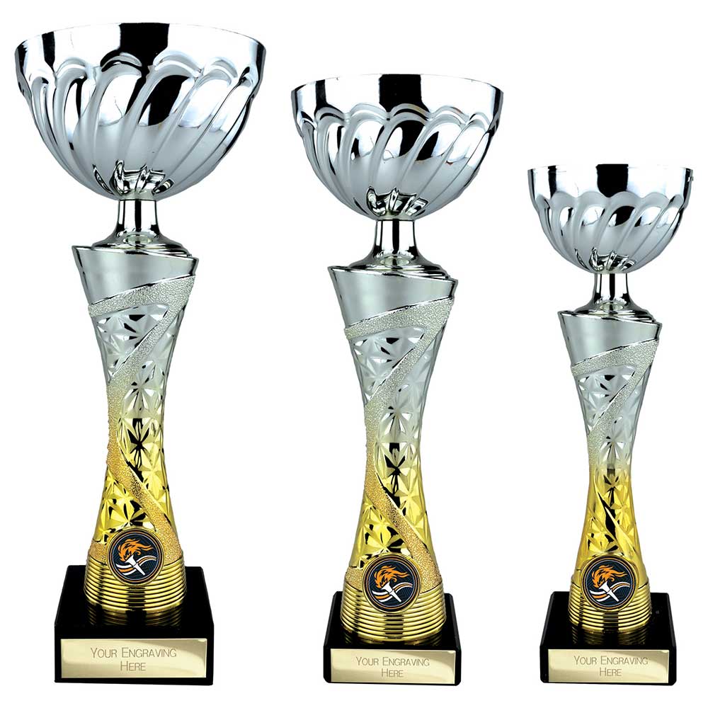 Vigour Trophy Cup Silver and Gold Vigour Trophy Cup Silver and Gold Trophy HQ 2