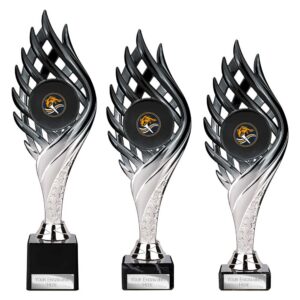 Wildfire Trophy Black and Silver Wildfire Trophy Black and Silver Trophy HQ 2