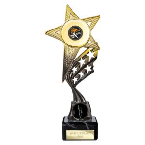 Innov8 Star Trophy Gold and Black Innov8 Star Trophy Gold and Black Trophy HQ 1