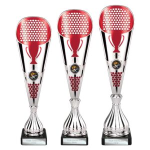 Eclectic Trophy Silver and Red Eclectic Trophy Silver and Red Trophy HQ 2