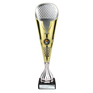 Eclectic Trophy Gold and Silver Eclectic Trophy Gold and Silver Trophy HQ 1