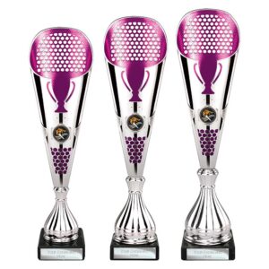 Eclectic Trophy Silver and Purple Eclectic Trophy Silver and Purple Trophy HQ 2