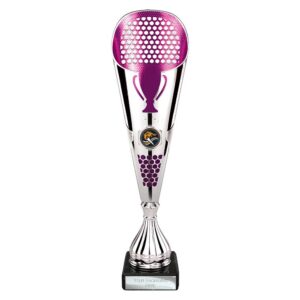 Eclectic Trophy Silver and Purple Eclectic Trophy Silver and Purple Trophy HQ 1