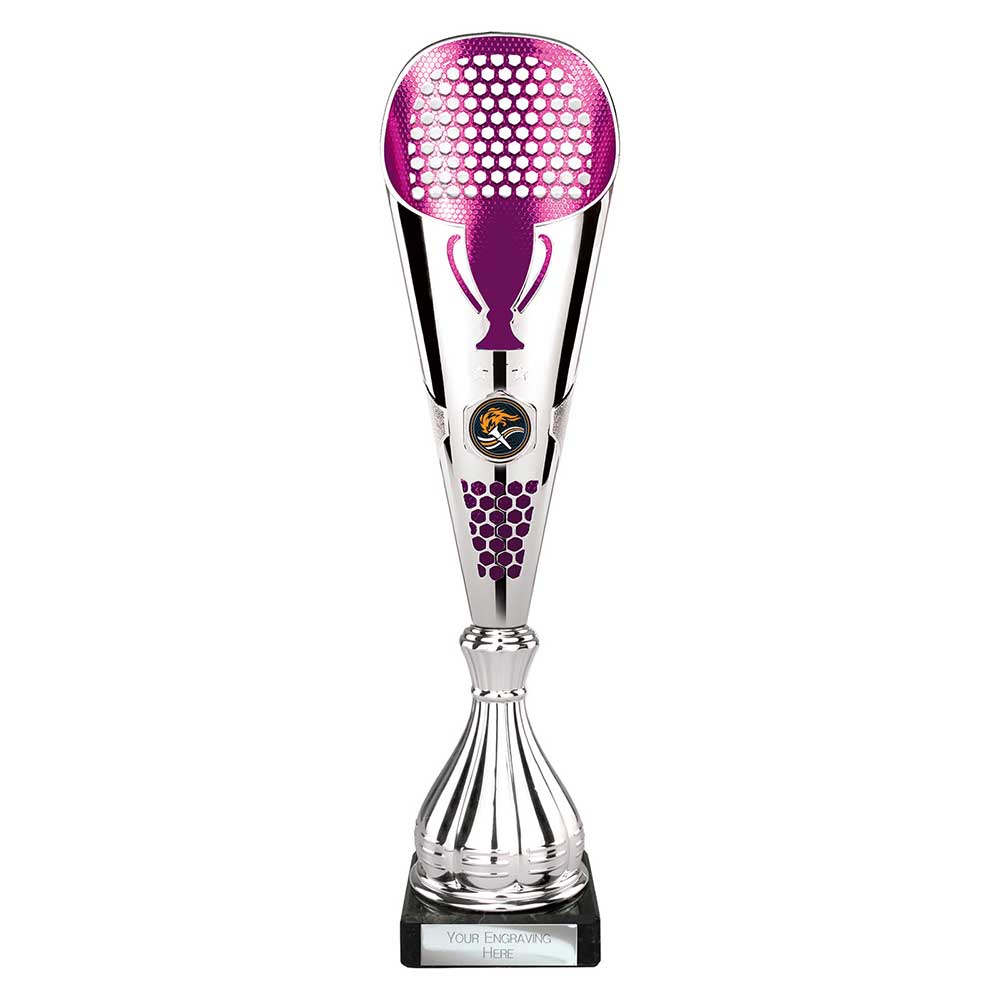 Eclectic Trophy Silver and Purple Eclectic Trophy Silver and Purple Trophy HQ 4