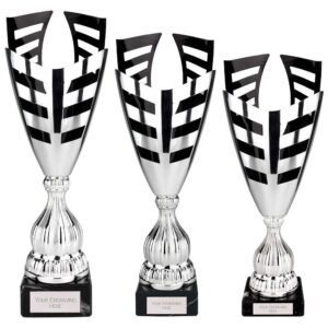 Paramount Laser Trophy Cup Silver and Black Paramount Laser Trophy Cup Silver and Black Trophy HQ 2