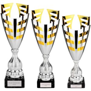 Paramount Laser Trophy Cup Silver and Gold Paramount Laser Trophy Cup Silver and Gold Trophy HQ 2