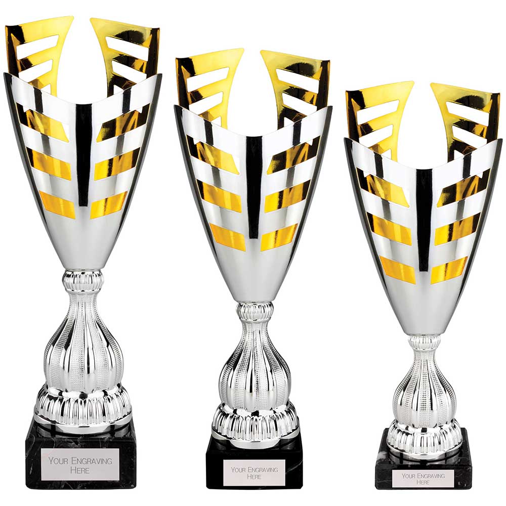 Paramount Laser Trophy Cup Silver and Gold Paramount Laser Trophy Cup Silver and Gold Trophy HQ 2