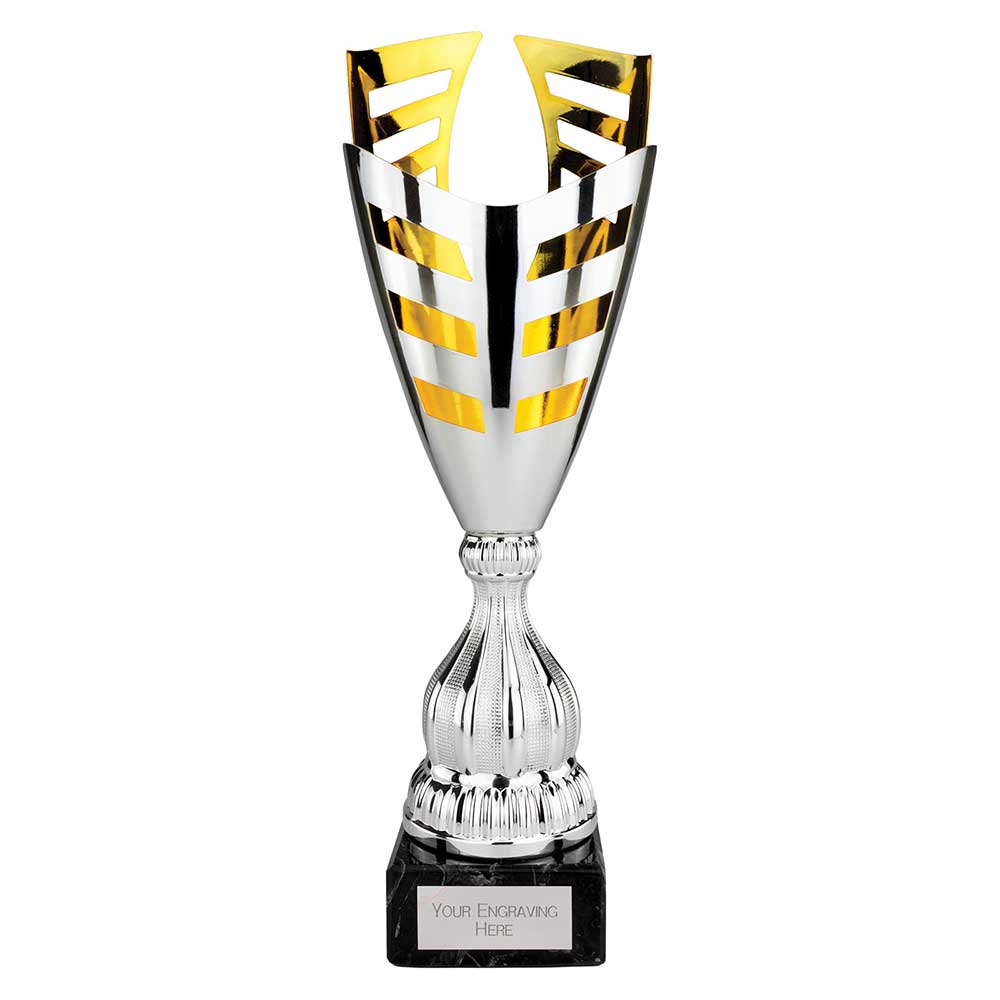 Paramount Laser Trophy Cup Silver and Gold Paramount Laser Trophy Cup Silver and Gold Trophy HQ 4