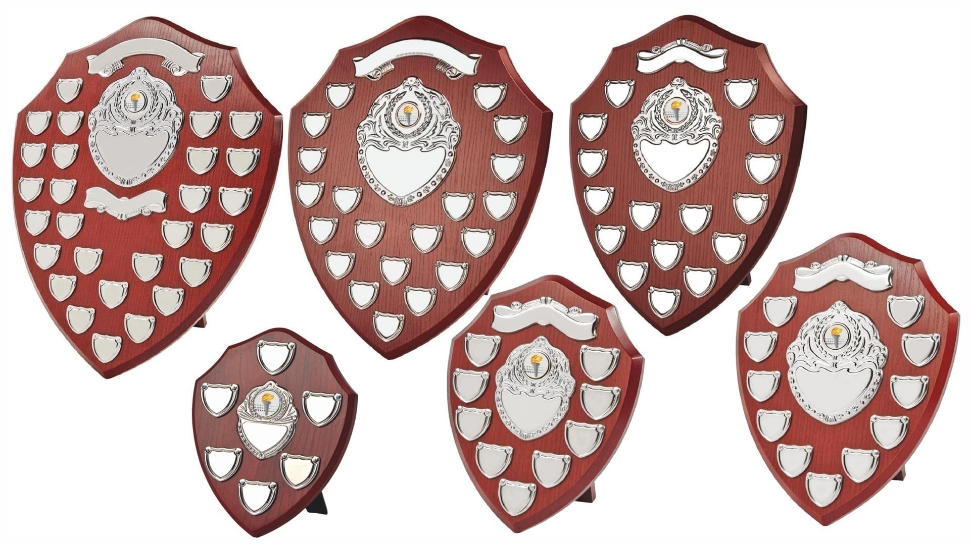 Classic Champions Shield Classic Champions Shield - Image 2