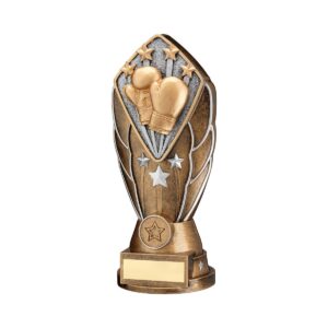 Facet Boxing Trophy Facet Boxing Trophy Trophy HQ 1