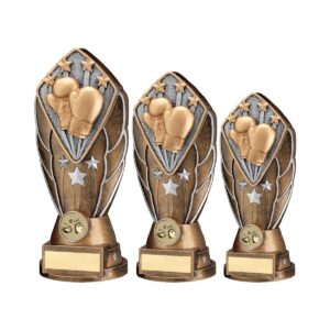 Facet Boxing Trophy Facet Boxing Trophy Trophy HQ 2