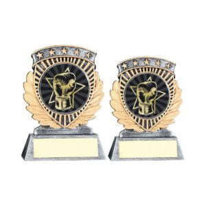 Vantage Star Boxing Trophy Vantage Star Boxing Trophy Trophy HQ 2