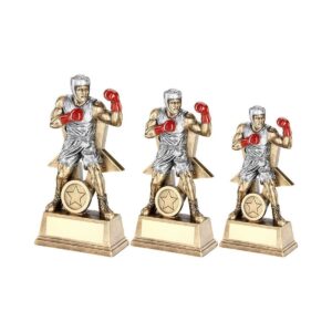 Champion Boxer Trophy Champion Boxer Trophy Trophy HQ 2