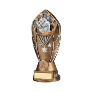 Facet Martial Arts Trophy Facet Martial Arts Trophy
