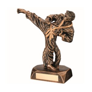 Precision Martial Arts Trophy Precision Martial Arts Trophy