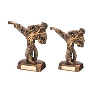 Precision Martial Arts Trophy Precision Martial Arts Trophy Trophy HQ