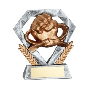 Hexa Martial Arts Trophy Hexa Martial Arts Trophy