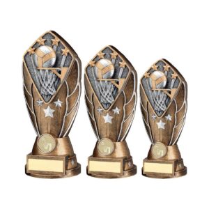 Facet Netball Trophy Facet Netball Trophy Trophy HQ