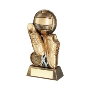 Momentum Netball Trophy Momentum Netball Trophy Trophy HQ 1