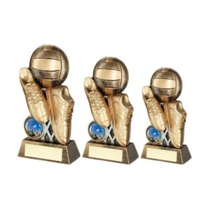 Momentum Netball Trophy Momentum Netball Trophy Trophy HQ 2