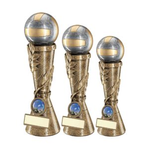 Laurel Tower Netball Trophy Laurel Tower Netball Trophy Trophy HQ 2