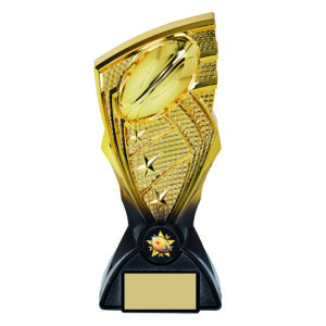 Shard Rugby Trophy Trophy HQ Shard Rugby Trophy Trophy HQ 3
